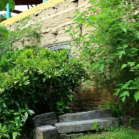 Chez Tival Maison Atypique De 1850
